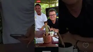 Ant and Dec Jungle Club 7/12/24