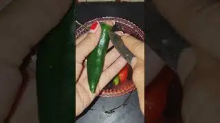 লঙ্কার চপ রেসিপি 😋🤤#viral #food #chilichop #recipe