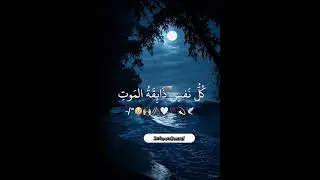Islamic Status/Islamic Video/Whatsapp Status/ #duet #tilawati354 #quran #love #quranwala #qurantilaw