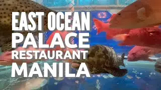 Lauriat Lunch at East Ocean Palace Restaurant and the lobsters and fish in their aquariums