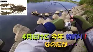 0697 First Time This Year!? Bass Fishing at the Tama River, But...