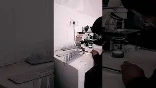 ℕ𝕦𝕣𝕟𝕚𝕟𝕘 𝕍𝕚𝕕𝕖𝕠 🤍🤍