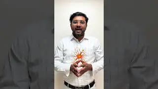 Train Your Brain for Happiness 🧠✨ | Science-Backed Tips! | Dr Varun Manjunath