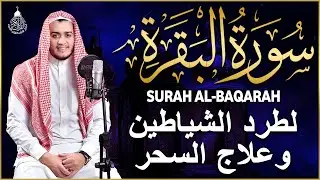 سورة البقرة كاملة لطرد الشياطين من منزلك وجلب البركه باذن الله surat albaqra
