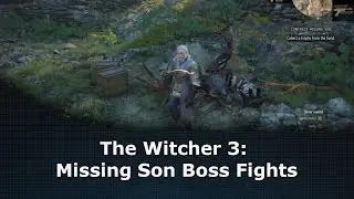 The Witcher 3: Missing Son Boss Fights