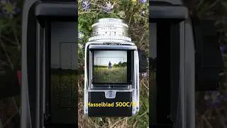 Hasselblad 500C/M Viewfinder