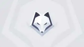 WINTERFOX Esport Official Intro | ESPORTS INTRO