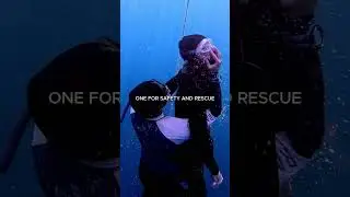 APNEISTA FREEDIVING COURSE