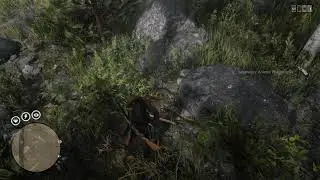 The Legendary Onyx Wolf Bug