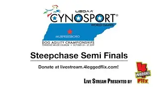 2019 Cynosport World Games: Main Ring - Steeplechase Semis