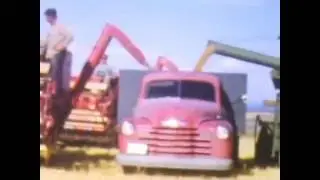 Grain harvest at Squirrel, Idaho (Early 1950's)