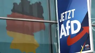 Far-right Alternative for Germany candidates' deaths spark conspiracies