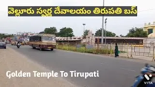 Vellore Golden Temple To Tirupati Bus Timings | Bus Ticket Fare | Bus Route | Distance | Apsrtc Bus