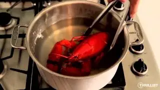 Thrillist Recipes: How to Cook a Lobster