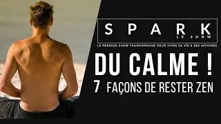 DU CALME&nbsp;! 7 secrets pour rester Zen I Franck Nicolas