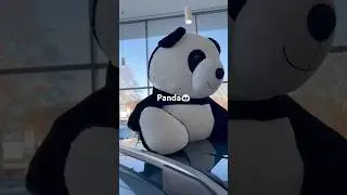 Panda geldi 😊🐼  #newmusic #music #hiphop #remix #panda