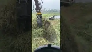 Fight Against Aquatic Weeds | Pond Vegetation Removal with Excavator