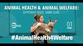 Animal health and animal welfare: different role, same goal - 01 June 2023