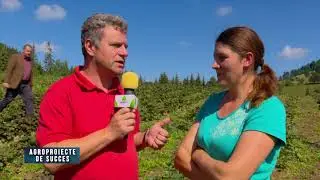 Agroproiecte de succes: Plantație de căpșuni la cota 1200 | 20.12.2020