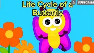 Earth Life Cycle, Recycle ,Life Cycle of Butterfly ,Chicken - Song (English)