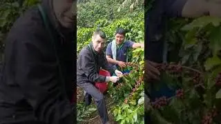 Direct Trade von Biokaffee: derkaffee besucht Kaffeebauern