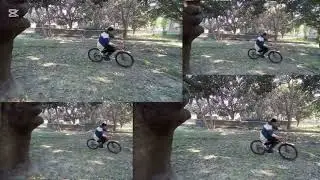Cycle Cinematic 