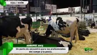Feria Agropec en Gij&oacute;n