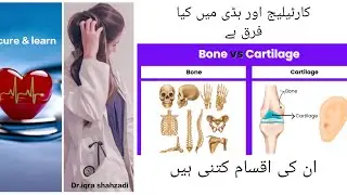 #Difference# between# bone# and# cartilage# and# it's# types?