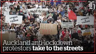 Auckland anti-lockdown protestors take to the streets | nzherald.co.nz