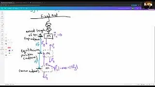 Oscillations/SHM: Vertical Springs