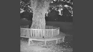 Empty Vessels