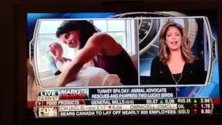 Fox Business News Network - Karen Dawn Turkey Rescue