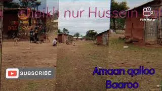 #Baroo sheikh Nur Husseen Baalee #amaan  qalloo || mekanika ruhi ||   ሼኽ አማን ቀሎ #ባሮ አቢዮ