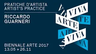 Biennale Arte 2017 - Riccardo Guarneri