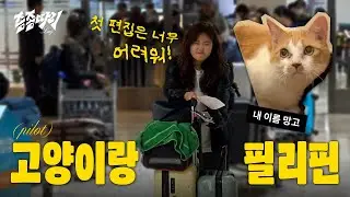 제가요? 필리핀이요? 고양이랑 필리핀으로 출국하기