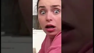 When your &ldquo;relationship counselor&rdquo; is a parrot with too much tea to spill 💀💔🦜FunnyPets