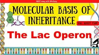 The Lac operon | Jacob and Monad | Inducible Structural  Beta-galactosidase Permease |Transacetylase