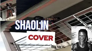 SHAOLIN {cover} by Mr G