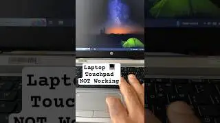 Сенсорная панель ноутбука не работает #ремонтноплит #компьютерныесоветы