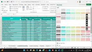 Shelly Cashman Excel 365 | Module 6: SAM Project A | Starr Consulting #shellycashman
