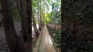🌊 Post-Rain Beauty | Flowing Stream & Canal Pathway in Green Forest 🌿 | Pakistan Nature #shorts