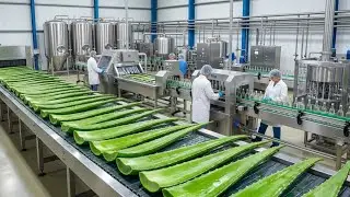 Inside a Spotless Factory: How Aloe Vera Juice is Made (Full Process 4K)