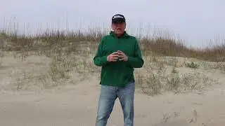 Dune Grasses