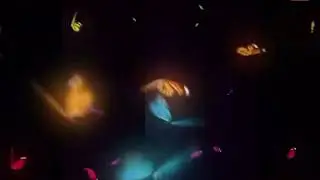 Butterfly overlay