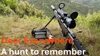 Deer Everywhere! An Unforgettable Afternoon Hunt
