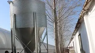 Poultry Feeding Equipment Hopper Silos