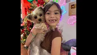 Familia Ibañez está en vivo