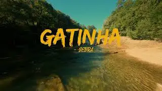 Sebra - Gatinha