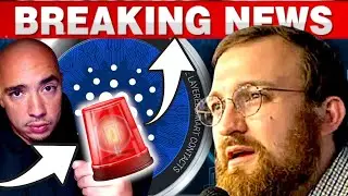 Объяснение масштабного всплеска активности Cardano | Грядёт ли взрывной рост ADA?
