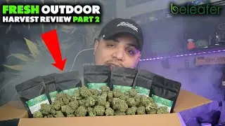Обзор новой модели Beleafer Outdoor Harvest, часть 2.